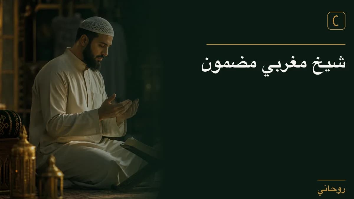 شيخ مغربي مضمون
