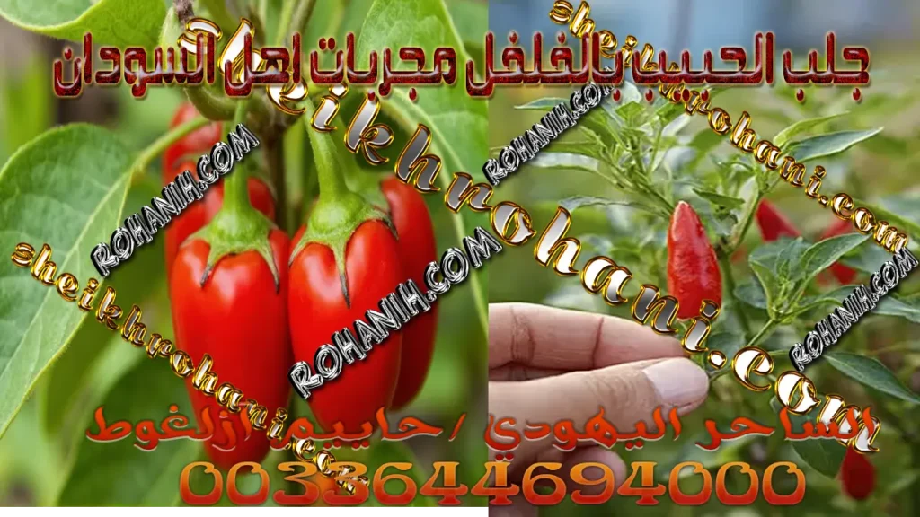 جلب الحبيب بالفلفل مجربات اهل السودان