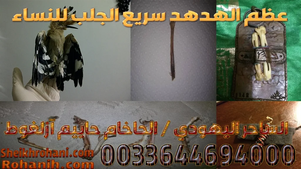 عظم الهدهد سريع الجلب للنساء