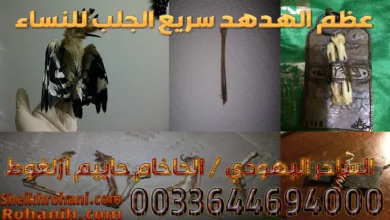 عظم الهدهد سريع الجلب للنساء